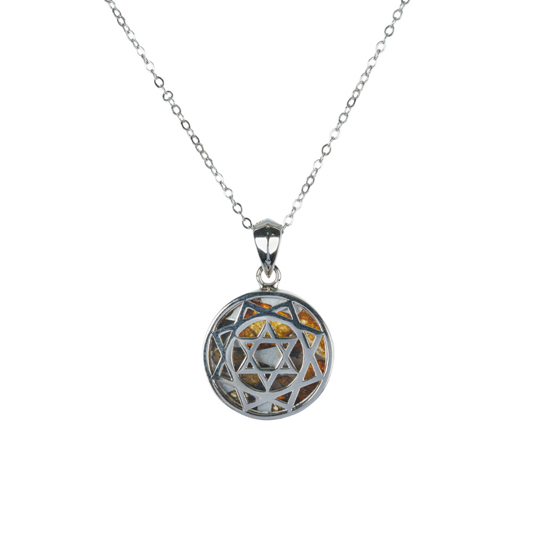 Pallasite Meteorite Heart Chakra Necklace