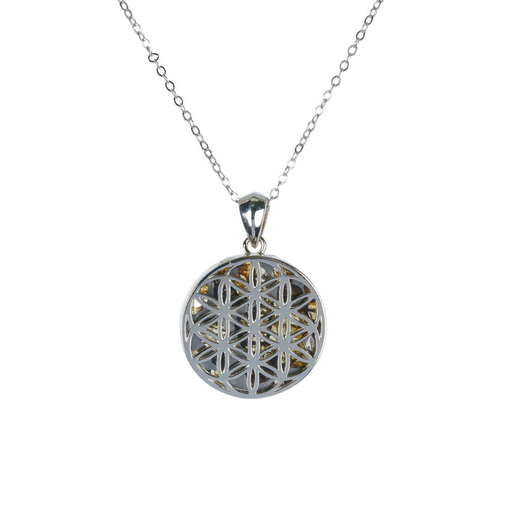 Pallasite Meteorite Flower of Life Necklace