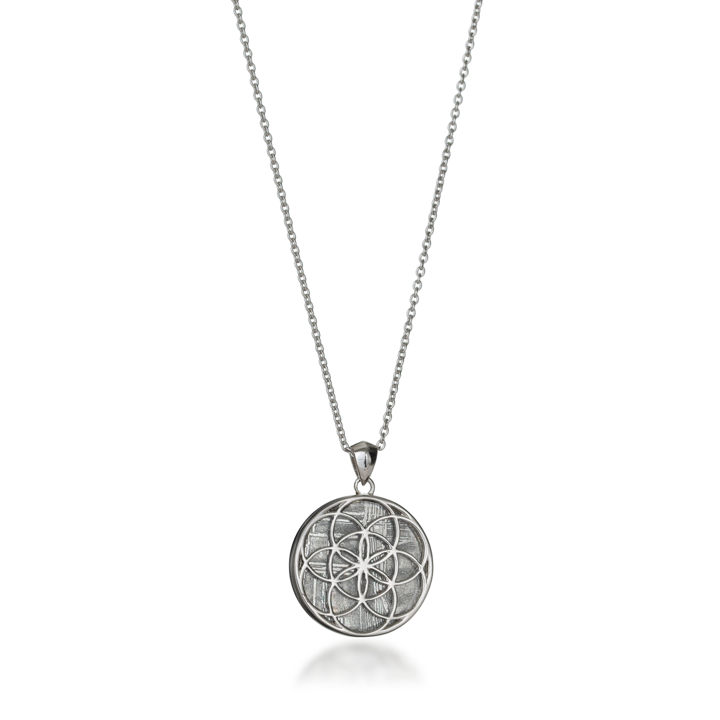 Seed of Life Silver Meteorite Necklace
