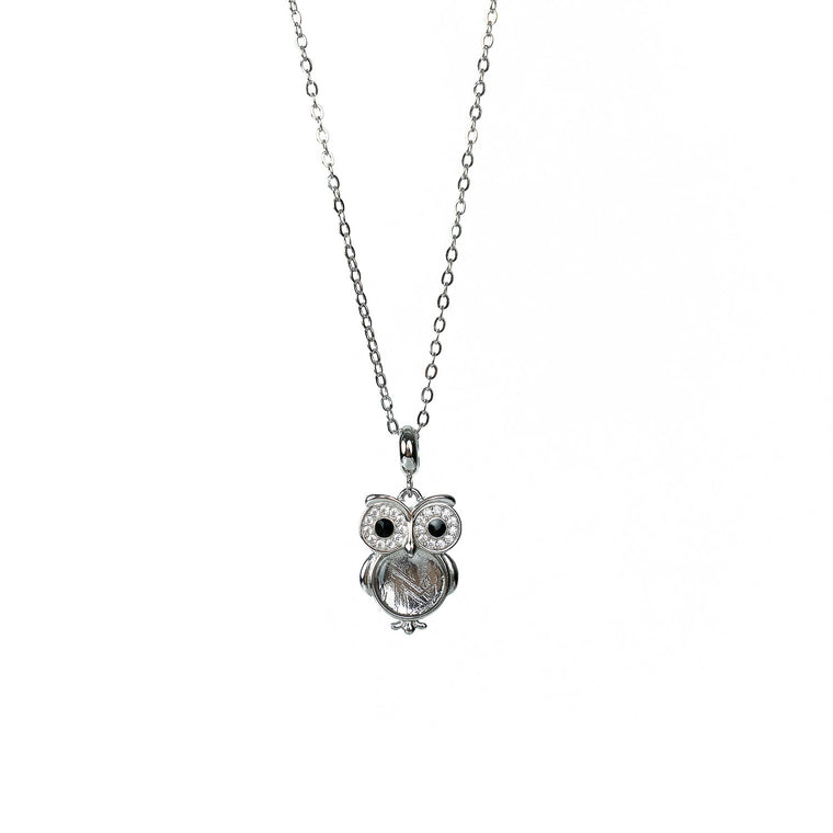 'Owl' Meteorite Necklace