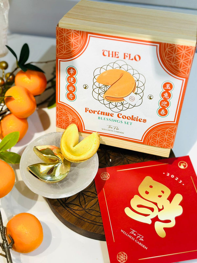 Fortune Cookies Blessing Set for Chinese New Year